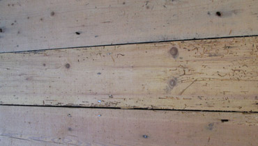 Efficient floor boards repairs in {PLACE_NAME} | {COMPANY_NAME}